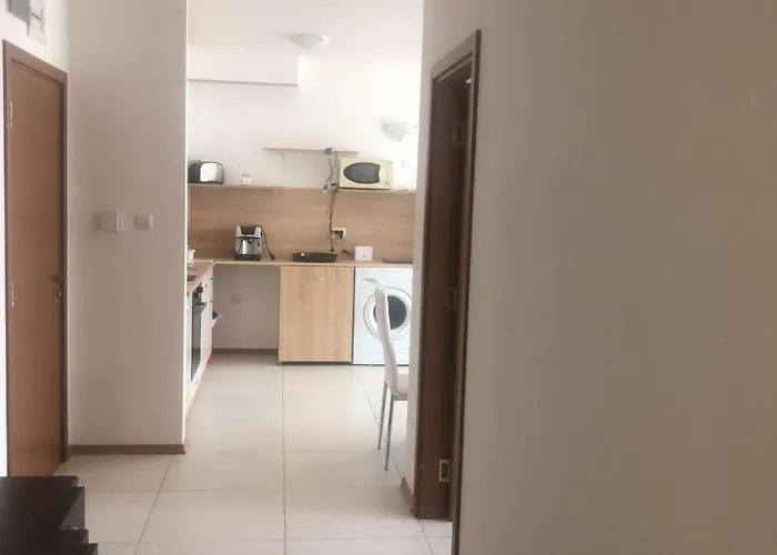 Lovely 3 New Furnished Kamelia Sunny